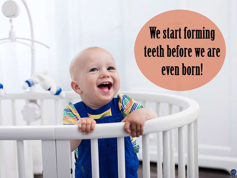 Pediatric Dentist Emerson, NJ